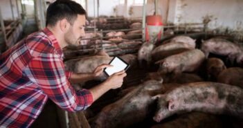 EPIG vaccinator: Henke Sass Wolf facilitates pig vaccination process with IoT ( Photo: Adobe Stock - littlewolf1989 )